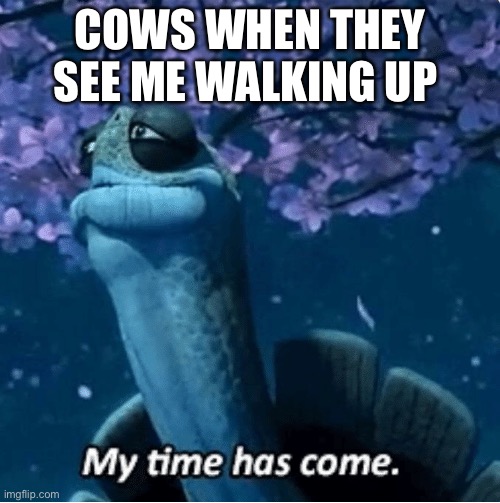 My Time Has Come | COWS WHEN THEY SEE ME WALKING UP | image tagged in my time has come | made w/ Imgflip meme maker