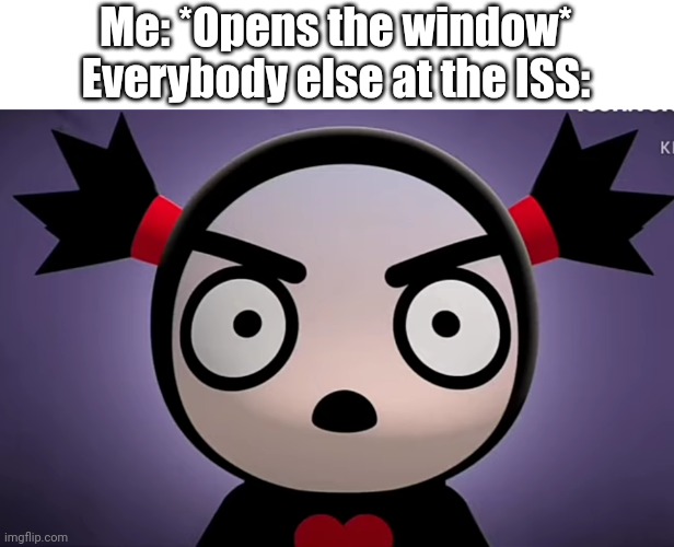 Here is an example | Me: *Opens the window*
Everybody else at the ISS: | image tagged in visible confusion,memes,funny | made w/ Imgflip meme maker