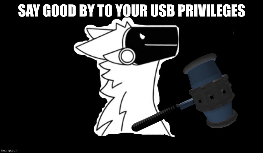 Protogen but dark background | SAY GOOD BY TO YOUR USB PRIVILEGES | image tagged in protogen but dark background | made w/ Imgflip meme maker