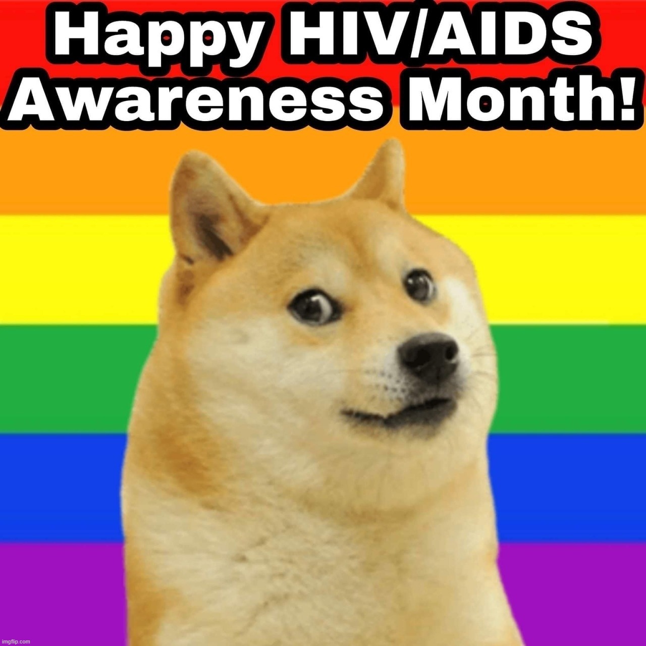 Human Immunodeficiency Virus. Covid has 99.9% survival rate A.I.D.S. does not. Take your Pride with Protection. | image tagged in pride month,aids,hiv,covid,june | made w/ Imgflip meme maker