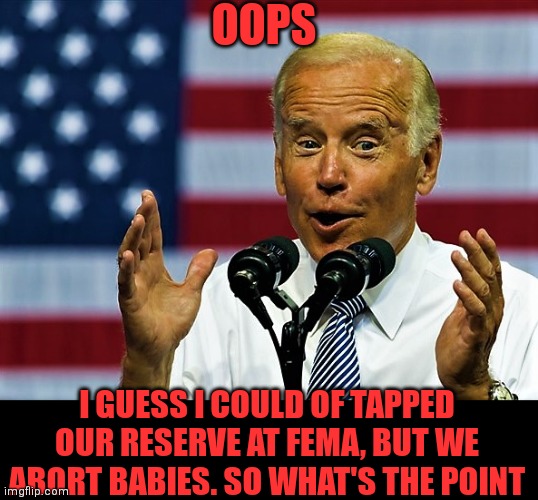 OOPS I GUESS I COULD OF TAPPED OUR RESERVE AT FEMA, BUT WE ABORT BABIES. SO WHAT'S THE POINT | made w/ Imgflip meme maker