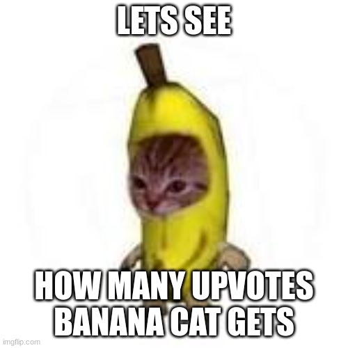 banana cat | LETS SEE; HOW MANY UPVOTES BANANA CAT GETS | image tagged in banana cat | made w/ Imgflip meme maker
