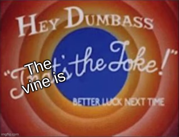 hey dumbass that's the joke | The vine is | image tagged in hey dumbass that's the joke | made w/ Imgflip meme maker