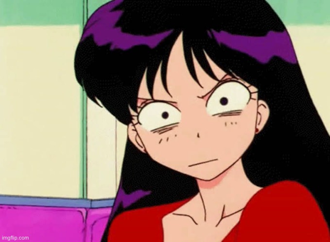 sailor mars stare | image tagged in sailor mars stare | made w/ Imgflip meme maker