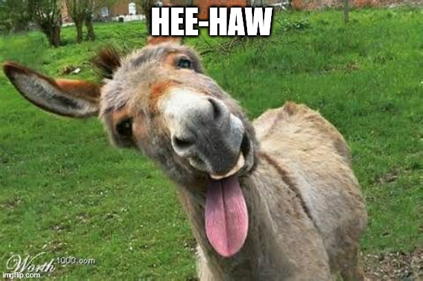 Laughing Donkey | HEE-HAW | image tagged in laughing donkey | made w/ Imgflip meme maker