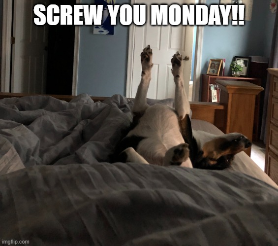 Monday Little Man | SCREW YOU MONDAY!! | image tagged in lounging little man | made w/ Imgflip meme maker