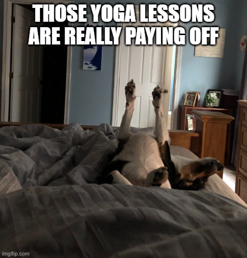 Yoga Little Man | THOSE YOGA LESSONS ARE REALLY PAYING OFF | image tagged in yoga little man | made w/ Imgflip meme maker