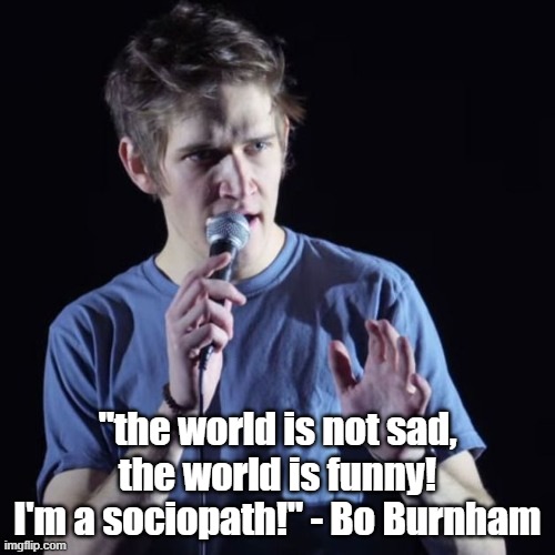 who agrees | "the world is not sad, the world is funny! I'm a sociopath!" - Bo Burnham | image tagged in bo burnham,mems,funny | made w/ Imgflip meme maker