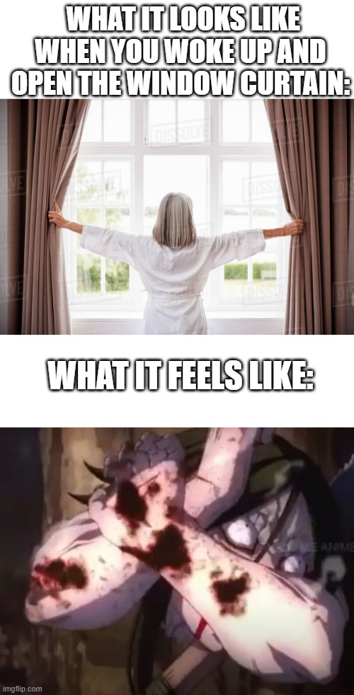 Good Tittle | WHAT IT LOOKS LIKE WHEN YOU WOKE UP AND OPEN THE WINDOW CURTAIN:; WHAT IT FEELS LIKE: | image tagged in blank white template,demon slayer,meme,open,window | made w/ Imgflip meme maker