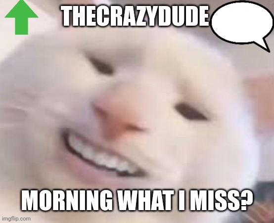 TheCrazyDude Temp 2022 | MORNING WHAT I MISS? | image tagged in thecrazydude temp 2022 | made w/ Imgflip meme maker