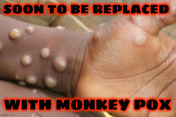 SOON TO BE REPLACED WITH MONKEY POX | made w/ Imgflip meme maker