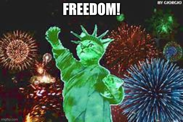 Freedom! | FREEDOM! | image tagged in cats,freedom,retirement,4th of july,happy birthday,america | made w/ Imgflip meme maker