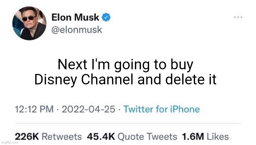 Elon Musk Buying Twitter | Next I'm going to buy Disney Channel and delete it | image tagged in elon musk buying twitter | made w/ Imgflip meme maker