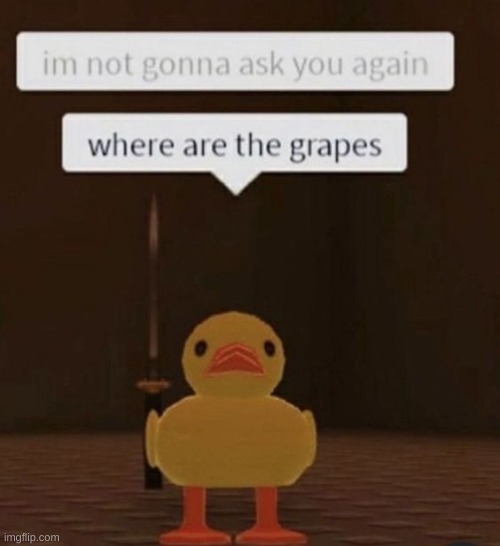 XDDDDD | image tagged in memes,the duck song,roblox,grapes,ducks | made w/ Imgflip meme maker