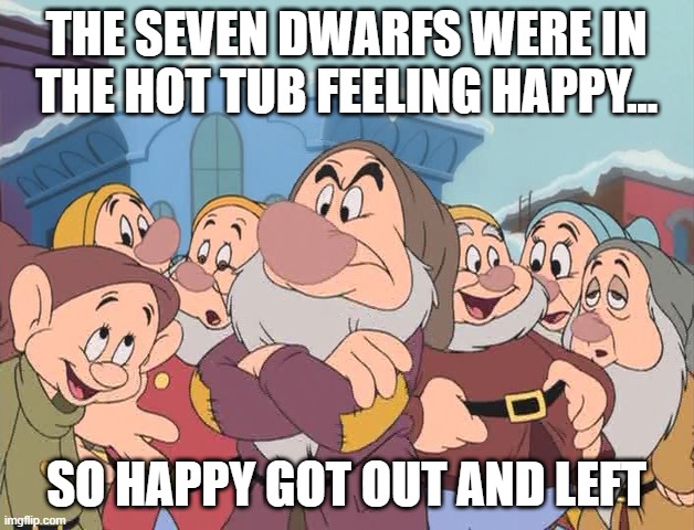 Gay Dwarfs | THE SEVEN DWARFS WERE IN THE HOT TUB FEELING HAPPY... SO HAPPY GOT OUT AND LEFT | image tagged in seven dwarfs | made w/ Imgflip meme maker
