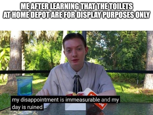 My day is ruined | ME AFTER LEARNING THAT THE TOILETS AT HOME DEPOT ARE FOR DISPLAY PURPOSES ONLY | image tagged in my day is ruined | made w/ Imgflip meme maker