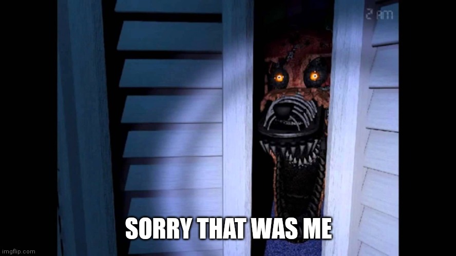 Foxy FNaF 4 | SORRY THAT WAS ME | image tagged in foxy fnaf 4 | made w/ Imgflip meme maker