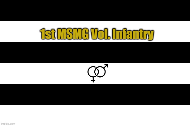 Regimental flag concept | 1st MSMG Vol. Infantry | made w/ Imgflip meme maker