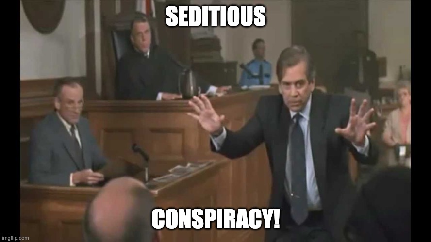 My Cousin Vinny | SEDITIOUS; CONSPIRACY! | image tagged in my cousin vinny | made w/ Imgflip meme maker