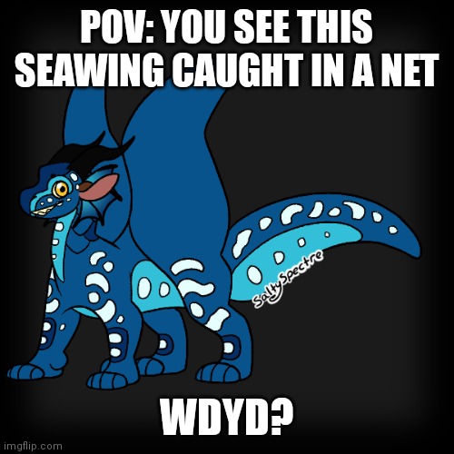 Roleplay with Wave(You can't kill or hurt him erp in memechat) |  POV: YOU SEE THIS SEAWING CAUGHT IN A NET; WDYD? | image tagged in wings of fire,seawing,roleplaying | made w/ Imgflip meme maker