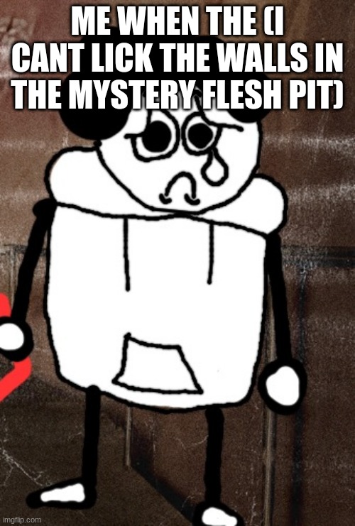 ME WHEN THE (I CANT LICK THE WALLS IN THE MYSTERY FLESH PIT) | made w/ Imgflip meme maker