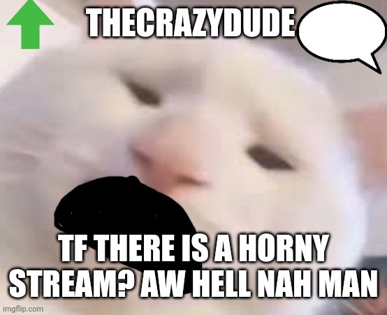 TheCrazyDude Temp 2022 | TF THERE IS A HORNY STREAM? AW HELL NAH MAN | image tagged in thecrazydude temp 2022 | made w/ Imgflip meme maker