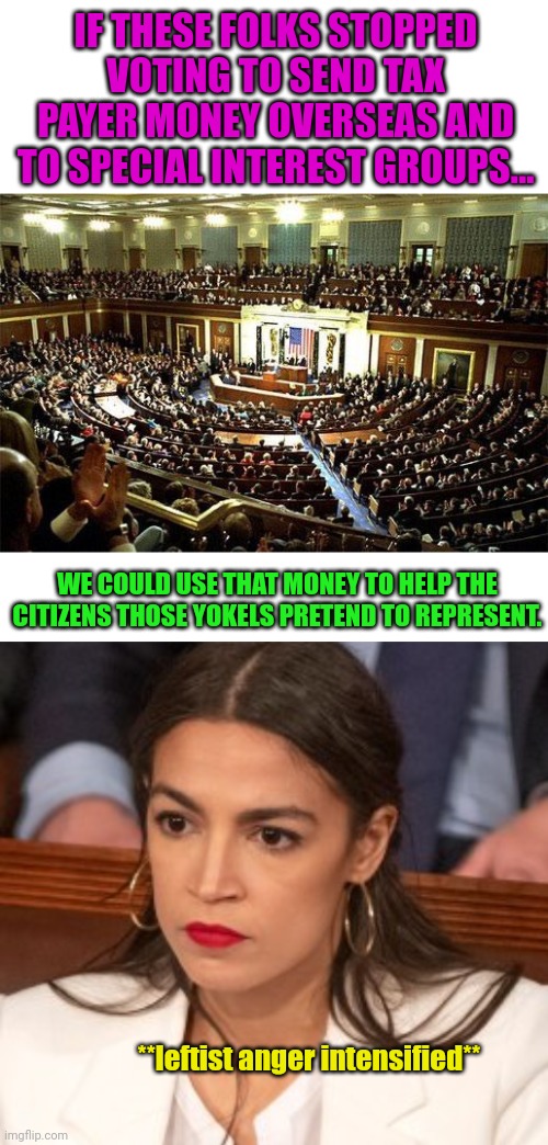 Yet Democrats keep voting for these people... | IF THESE FOLKS STOPPED VOTING TO SEND TAX PAYER MONEY OVERSEAS AND TO SPECIAL INTEREST GROUPS... WE COULD USE THAT MONEY TO HELP THE CITIZENS THOSE YOKELS PRETEND TO REPRESENT. **leftist anger intensified** | image tagged in congress,oblivious alexandria ocasio-cortez | made w/ Imgflip meme maker