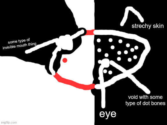 anatomy of a blobie | strechy skin; some type of invisible mouth thing; void with some type of dot bones; eye | image tagged in blank white template | made w/ Imgflip meme maker