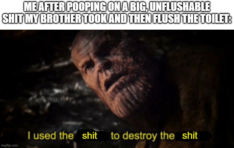 I used the stones to destroy the stones | ME AFTER POOPING ON A BIG, UNFLUSHABLE SHIT MY BROTHER TOOK AND THEN FLUSH THE TOILET:; shit; shit | image tagged in i used the stones to destroy the stones,poop,pooping,shit,toilet humor,toilet | made w/ Imgflip meme maker