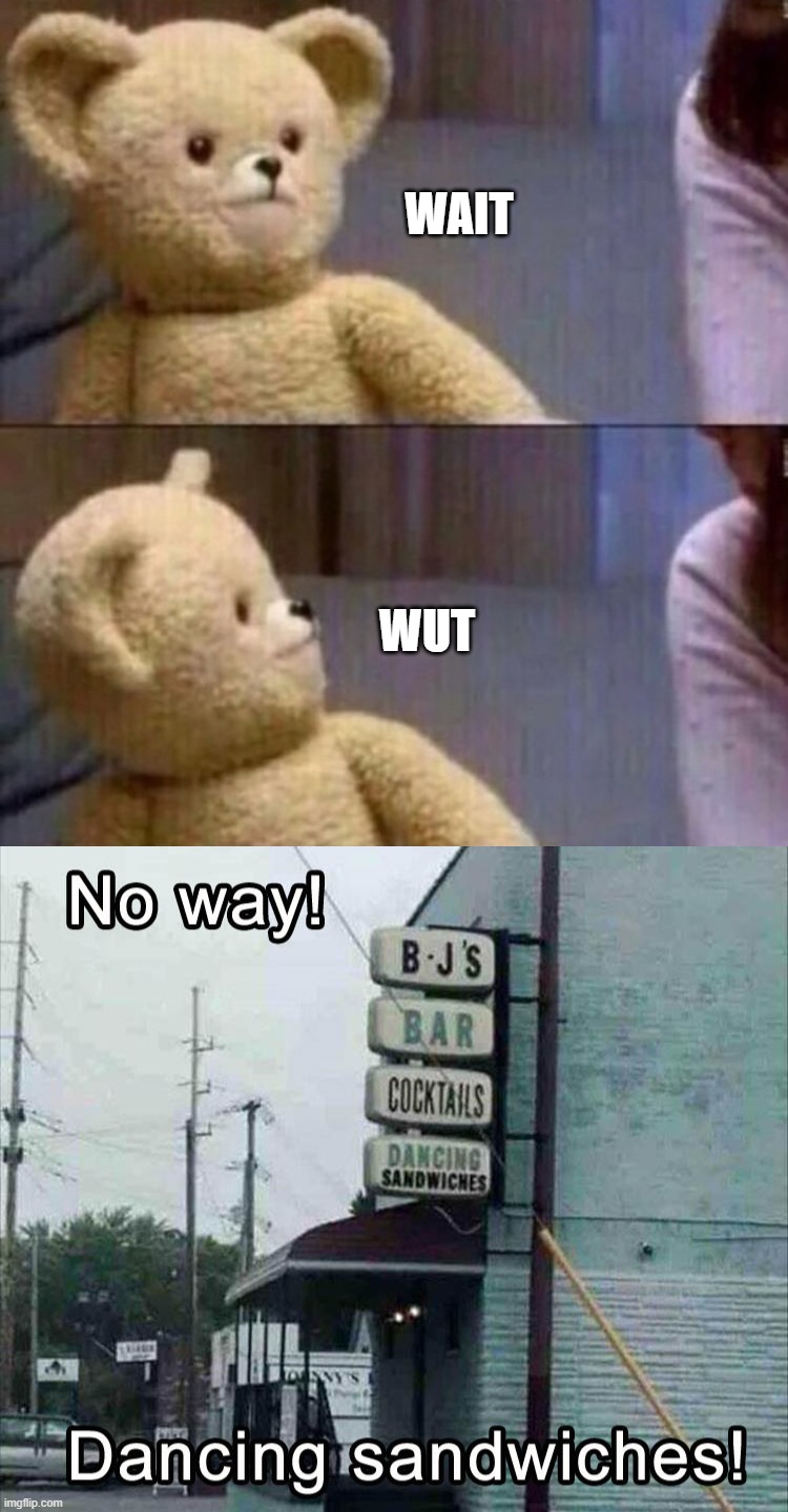WAIT; WUT | image tagged in wait what | made w/ Imgflip meme maker