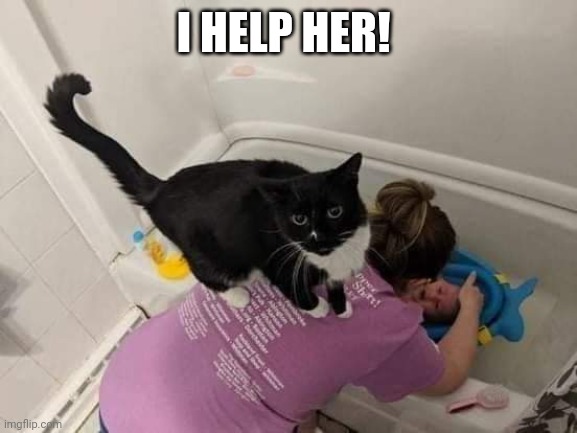 Sweet cat | I HELP HER! | image tagged in cat | made w/ Imgflip meme maker