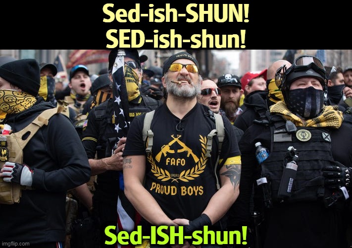 Sed-ish-SHUN!
SED-ish-shun! Sed-ISH-shun! | image tagged in proud,boys,right wing,terrorists,jail | made w/ Imgflip meme maker