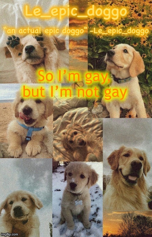 Doggo temp by doggo. Wait what that’s confusing | So I’m gay, but I’m not gay | image tagged in doggo temp by doggo wait what that s confusing | made w/ Imgflip meme maker