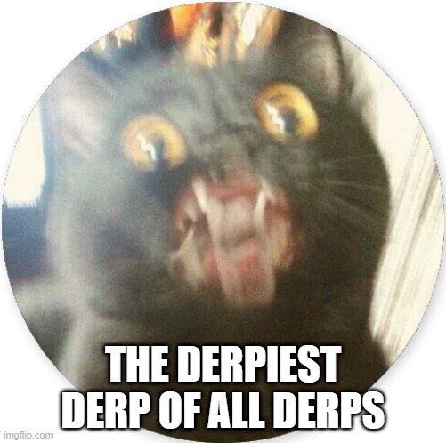 Derp | THE DERPIEST DERP OF ALL DERPS | image tagged in funny cats | made w/ Imgflip meme maker