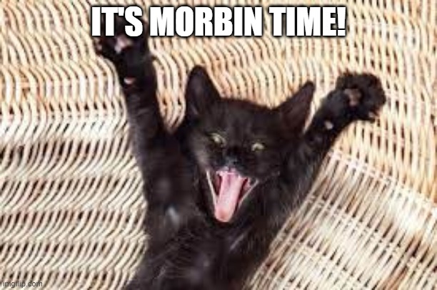Vampire Cat |  IT'S MORBIN TIME! | image tagged in funny cats | made w/ Imgflip meme maker