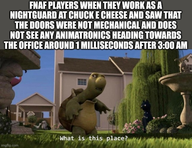 What is this place? | FNAF PLAYERS WHEN THEY WORK AS A NIGHTGUARD AT CHUCK E CHEESE AND SAW THAT THE DOORS WERE NOT MECHANICAL AND DOES NOT SEE ANY ANIMATRONICS HEADING TOWARDS THE OFFICE AROUND 1 MILLISECONDS AFTER 3:00 AM | image tagged in what is this place,fnaf,chuck e cheese | made w/ Imgflip meme maker