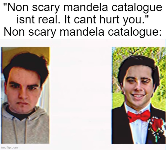 "Non scary mandela catalogue" | "Non scary mandela catalogue isnt real. It cant hurt you."
Non scary mandela catalogue: | image tagged in memes | made w/ Imgflip meme maker