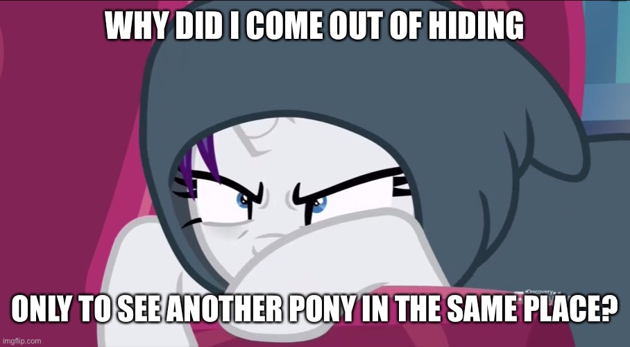 Rarity Unicorn displeased | WHY DID I COME OUT OF HIDING; ONLY TO SEE ANOTHER PONY IN THE SAME PLACE? | image tagged in rarity unicorn displeased | made w/ Imgflip meme maker