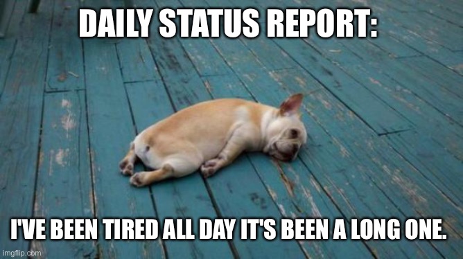 tired dog |  DAILY STATUS REPORT:; I'VE BEEN TIRED ALL DAY IT'S BEEN A LONG ONE. | image tagged in tired dog,daily,status,report | made w/ Imgflip meme maker