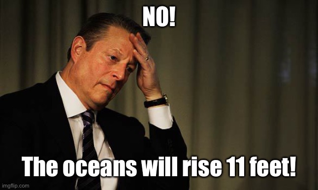 Al Gore Facepalm | NO! The oceans will rise 11 feet! | image tagged in al gore facepalm | made w/ Imgflip meme maker