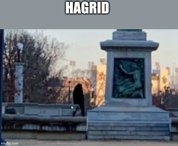 HAGRID | made w/ Imgflip meme maker