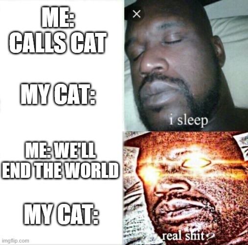 Sleeping Shaq Meme | ME: CALLS CAT; MY CAT:; ME: WE'LL END THE WORLD; MY CAT: | image tagged in memes,sleeping shaq | made w/ Imgflip meme maker