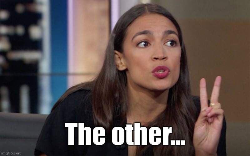 aoc 2 Fingers | The other... | image tagged in aoc 2 fingers | made w/ Imgflip meme maker