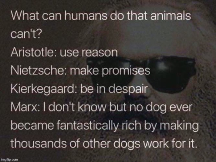 Marx quote dogs | image tagged in marx quote dogs | made w/ Imgflip meme maker