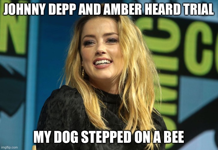 johnny v amber | JOHNNY DEPP AND AMBER HEARD TRIAL; MY DOG STEPPED ON A BEE | image tagged in amber heard | made w/ Imgflip meme maker