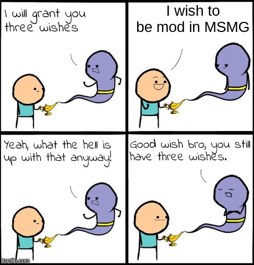 :troll: | I wish to be mod in MSMG | image tagged in 3 wishes | made w/ Imgflip meme maker