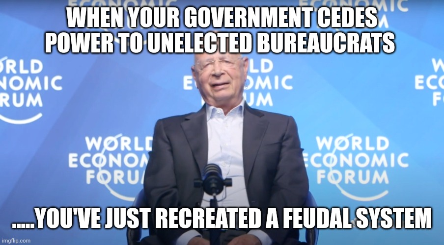 Nice while it lasted | WHEN YOUR GOVERNMENT CEDES POWER TO UNELECTED BUREAUCRATS; .....YOU'VE JUST RECREATED A FEUDAL SYSTEM | image tagged in klaus schwab | made w/ Imgflip meme maker