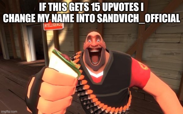 why not | IF THIS GETS 15 UPVOTES I CHANGE MY NAME INTO SANDVICH_OFFICIAL | image tagged in sandvich fixes everything | made w/ Imgflip meme maker