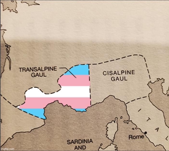 #AllGaulsAreValid | image tagged in transalpine gaul | made w/ Imgflip meme maker