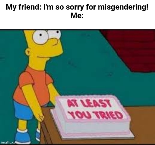 :) | My friend: I'm so sorry for misgendering!
Me: | image tagged in at least you tried,lgbtq | made w/ Imgflip meme maker